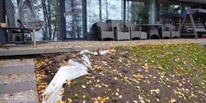 Фото на улице